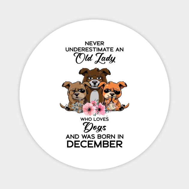 Never Underestimate An Old Woman Who Loves Cats And Was Born In December Magnet by Happy Solstice